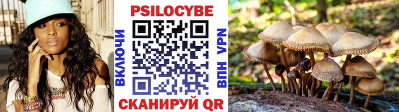 цены Заринск Галлюциногенные грибы MAGIC MUSHROOMS