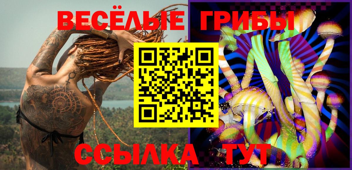 Галлюциногенные грибы мухоморы Заринск