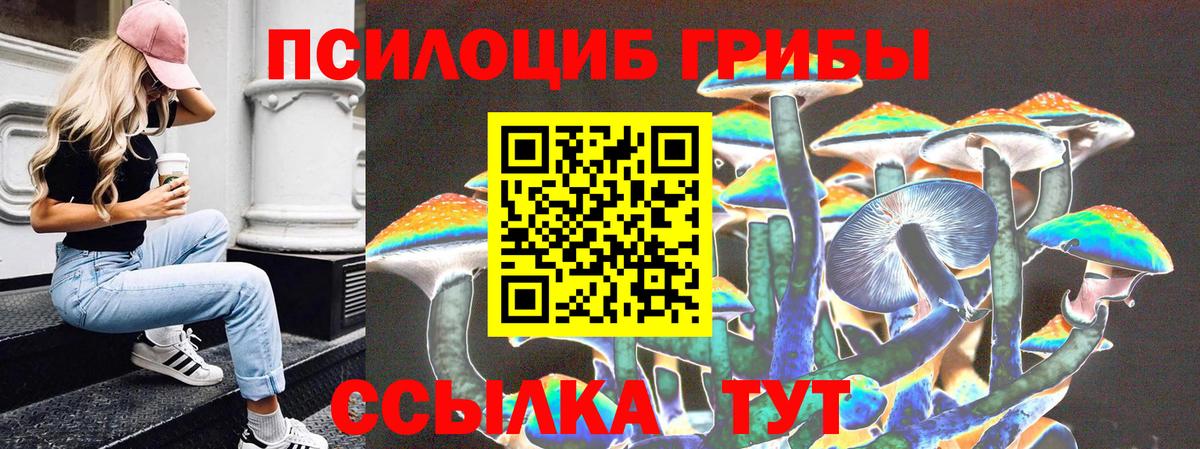 Заринск  Псилоцибиновые грибы Psilocybe  что такое   Вход с VPN 